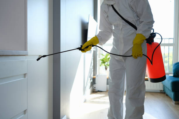 Office Mold Removal Services in Colton, CA